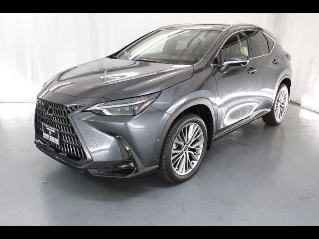 2024 Lexus NX 350h Luxury