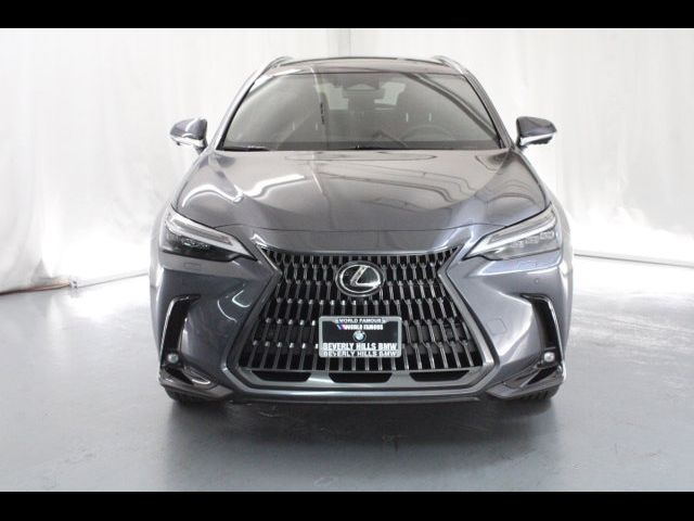 2024 Lexus NX 350h Luxury