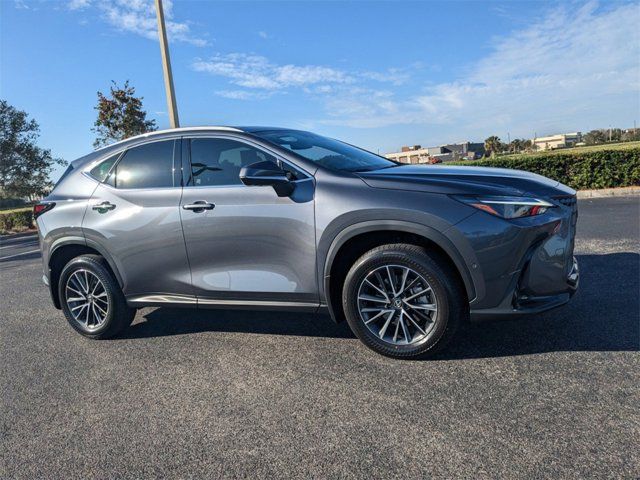 2024 Lexus NX 350h Luxury