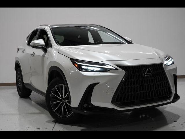 2024 Lexus NX 350h Luxury