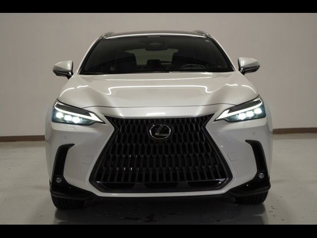 2024 Lexus NX 350h Luxury