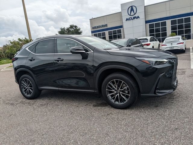 2024 Lexus NX 350h Luxury