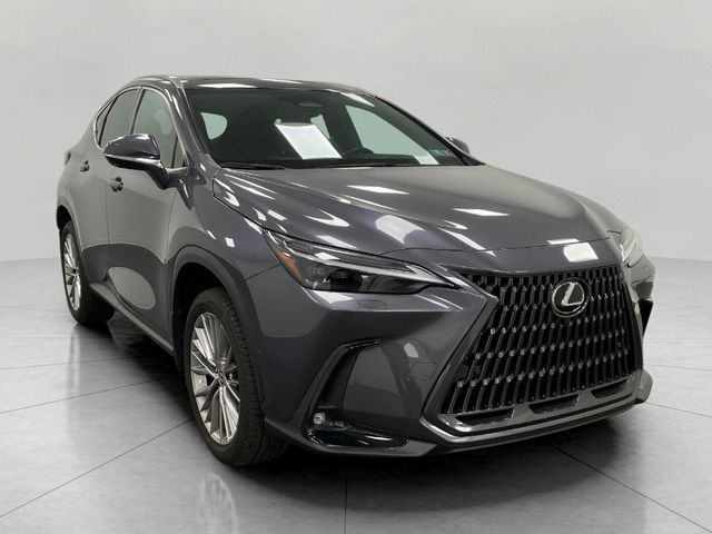 2024 Lexus NX 350h Luxury