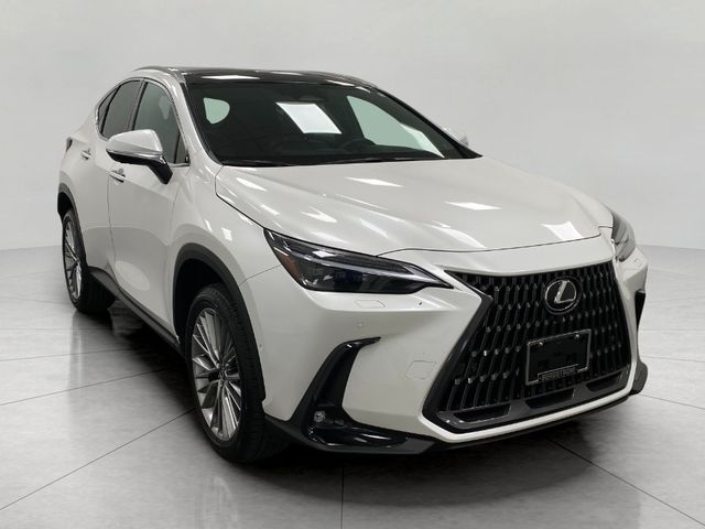 2024 Lexus NX 350h Luxury