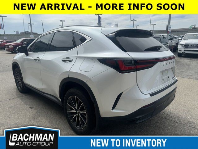 2024 Lexus NX 350h Premium