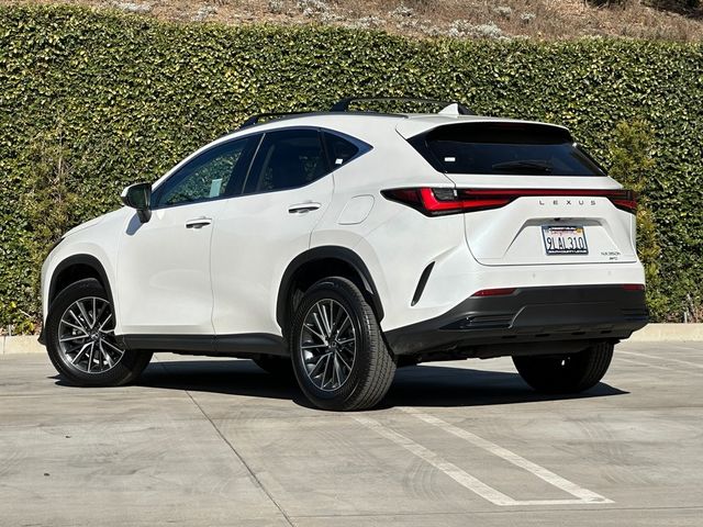 2024 Lexus NX 350h Premium