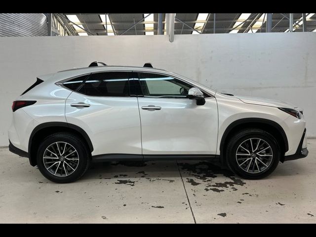 2024 Lexus NX 350h Premium