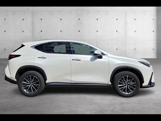 2024 Lexus NX 350h Premium