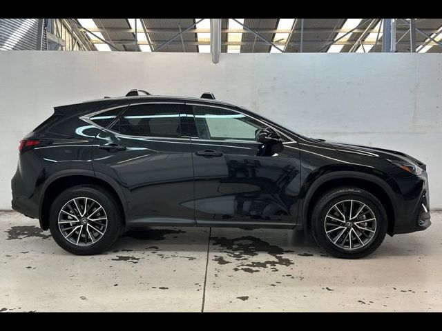 2024 Lexus NX 350h Premium