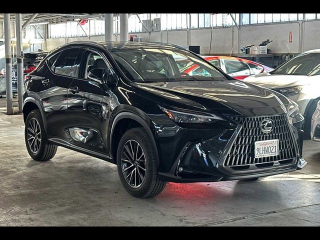 2024 Lexus NX 350h Premium