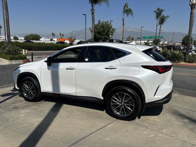 2024 Lexus NX 350h Premium