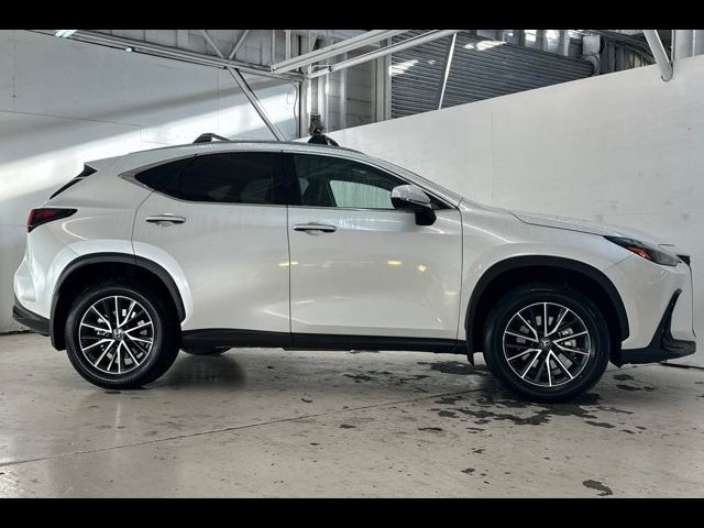 2024 Lexus NX 350h Premium