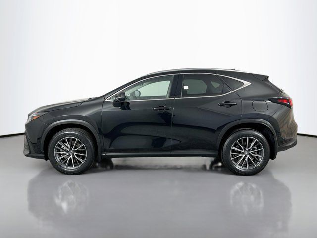 2024 Lexus NX 350h Premium