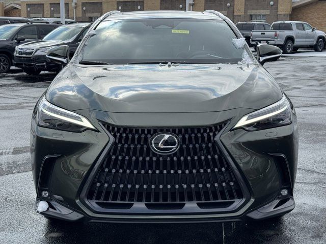 2024 Lexus NX 450h+ Luxury