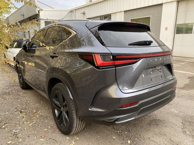 2024 Lexus NX 450h+ Luxury