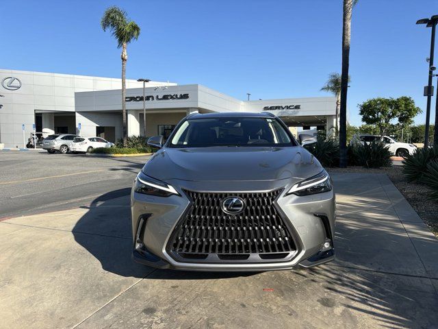 2024 Lexus NX 450h+ Luxury