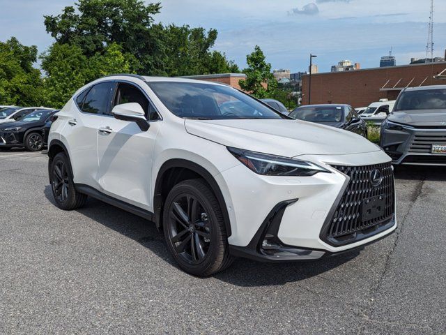 2024 Lexus NX 450h+ Luxury