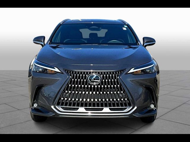 2024 Lexus NX 250 Premium