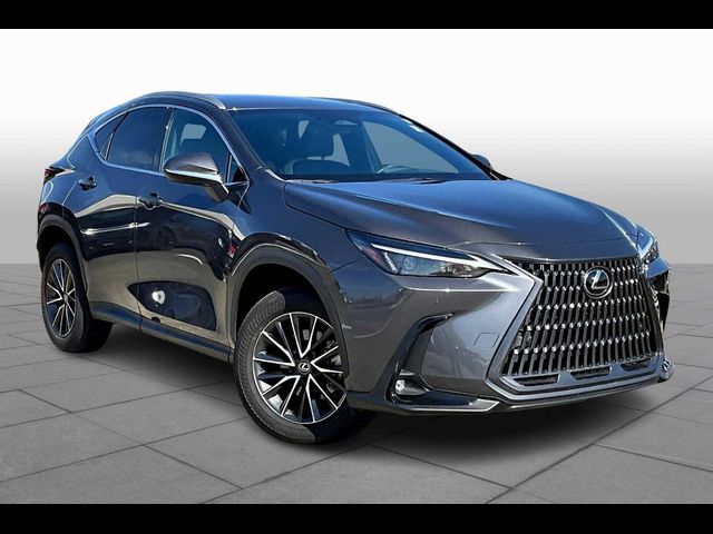 2024 Lexus NX 250 Premium