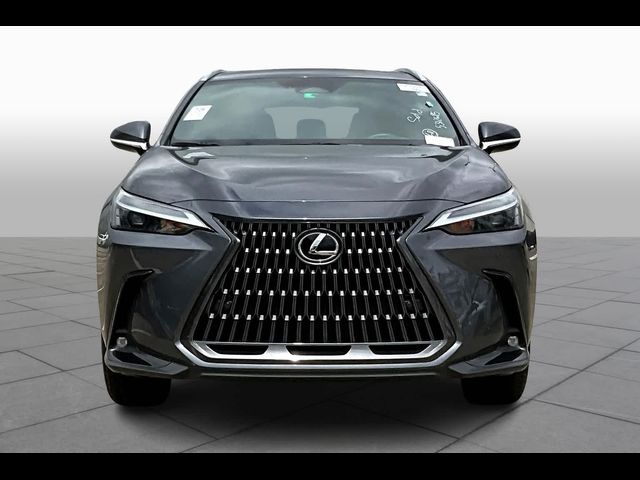 2024 Lexus NX 250 Premium