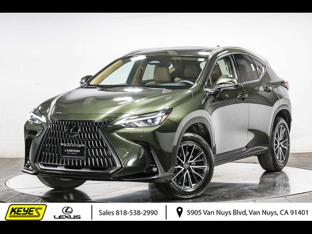 2024 Lexus NX 250 Premium