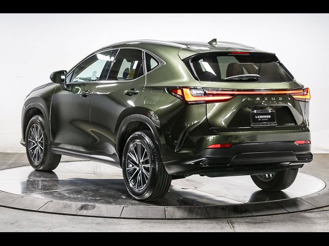 2024 Lexus NX 250 Premium