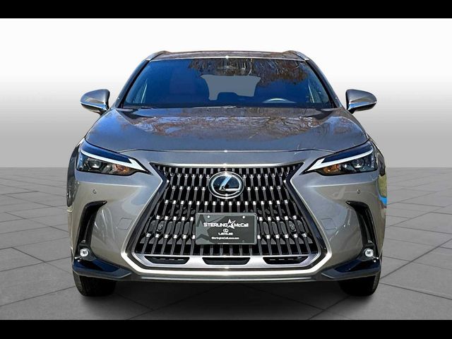 2024 Lexus NX 250 Premium