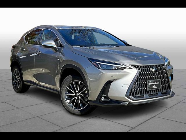 2024 Lexus NX 250 Premium