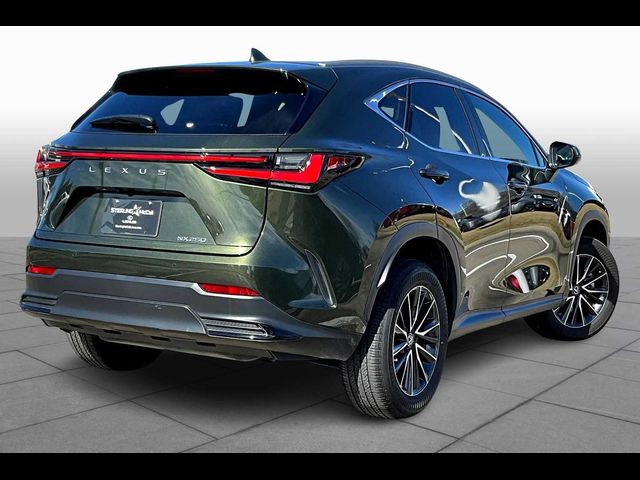 2024 Lexus NX 250 Premium