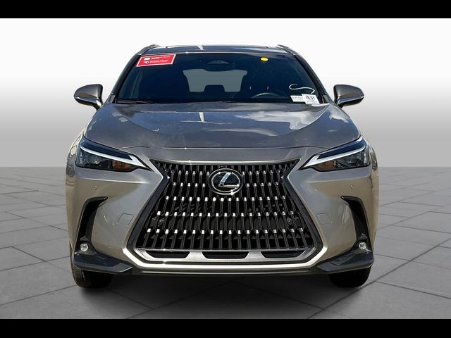 2024 Lexus NX 250 Premium