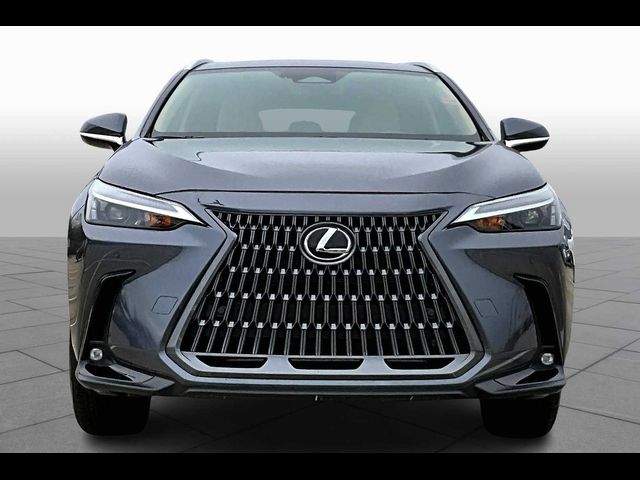 2024 Lexus NX 250 Premium