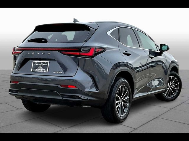 2024 Lexus NX 250 Premium