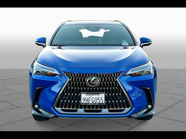 2024 Lexus NX 350 Premium