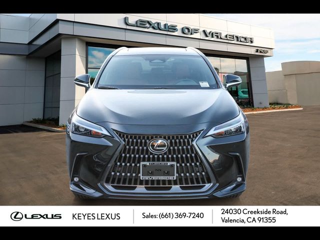 2024 Lexus NX 350h Premium