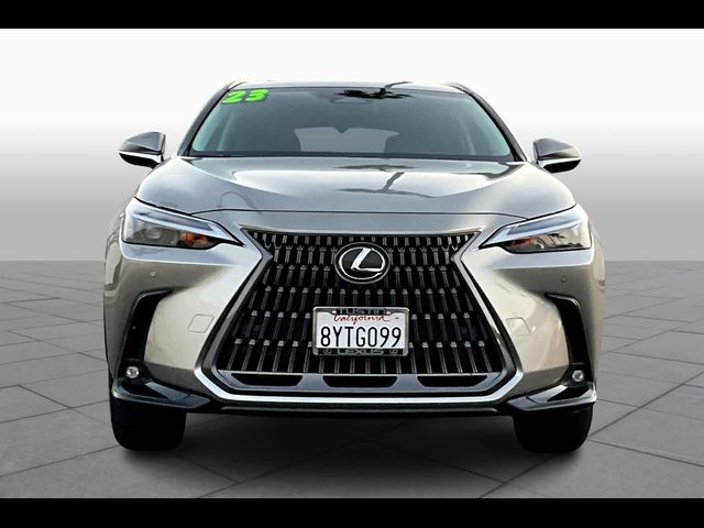 2024 Lexus NX 350h Premium