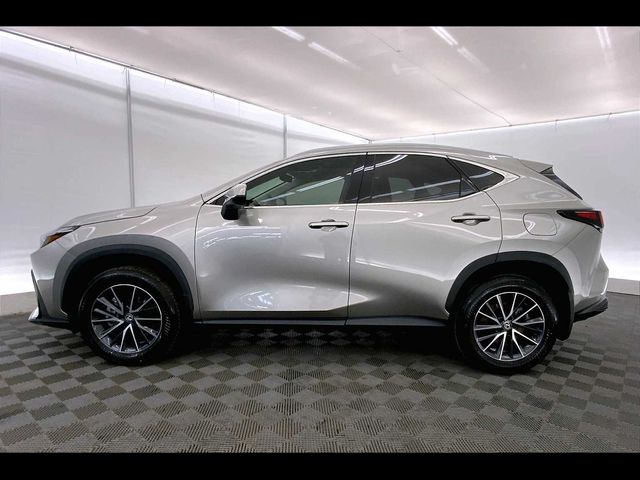 2024 Lexus NX 350h Premium