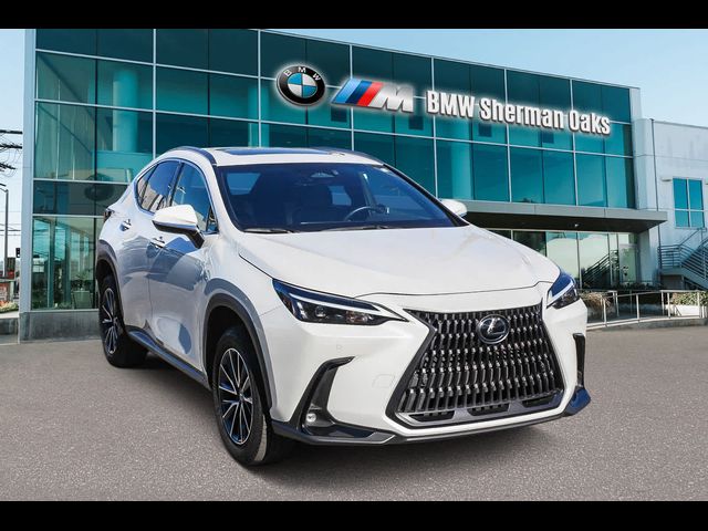 2024 Lexus NX 250 Premium