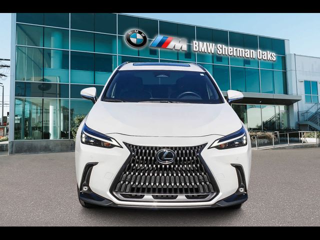 2024 Lexus NX 250 Premium