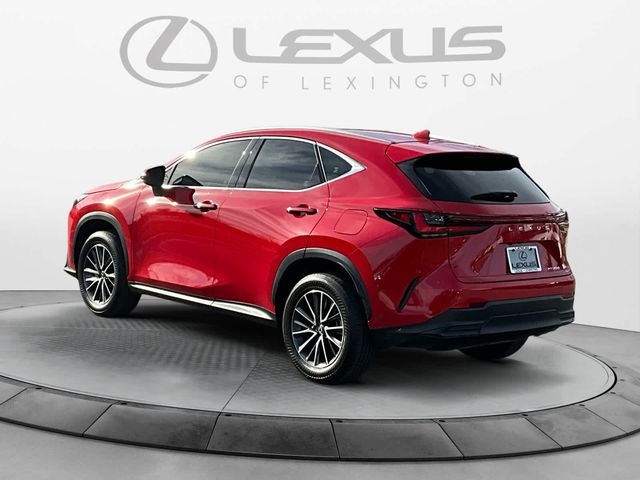 2024 Lexus NX 250 Premium