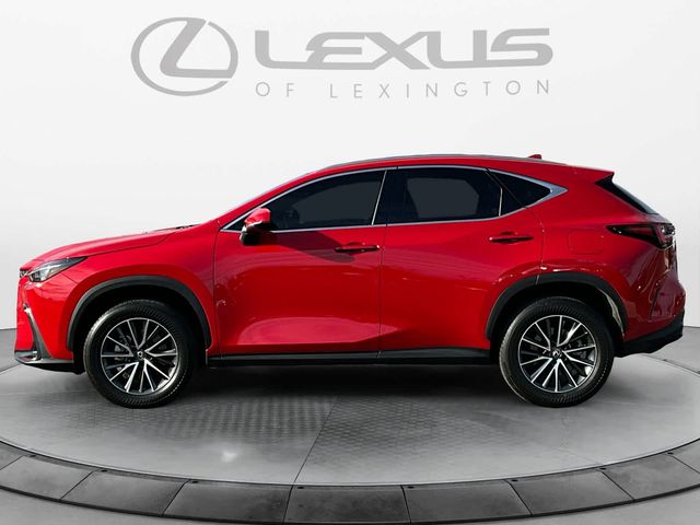 2024 Lexus NX 250 Premium