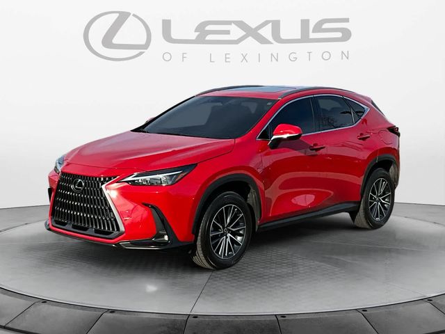 2024 Lexus NX 250 Premium