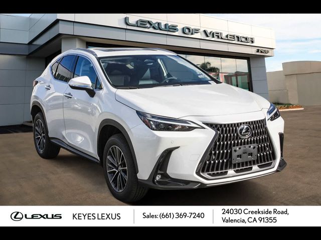 2024 Lexus NX 350 Premium