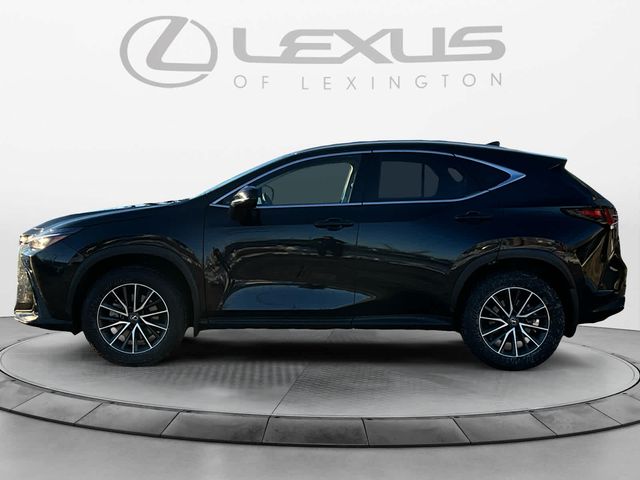 2024 Lexus NX 350h Premium