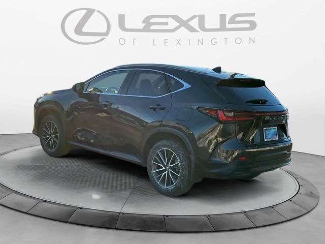 2024 Lexus NX 350h Premium