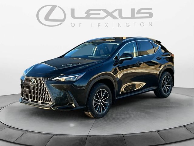 2024 Lexus NX 350h Premium