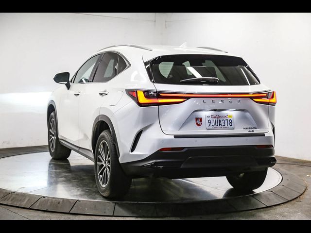 2024 Lexus NX 350h Premium