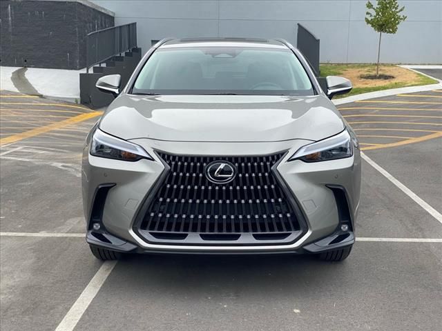 2024 Lexus NX 250 Premium