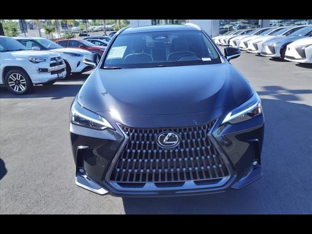 2024 Lexus NX 250