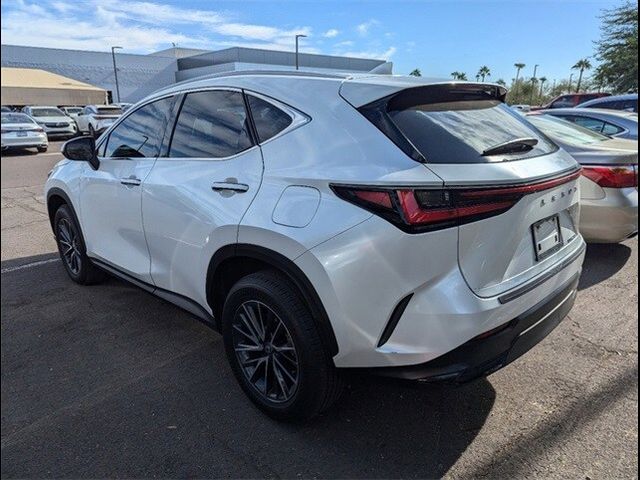 2024 Lexus NX 250