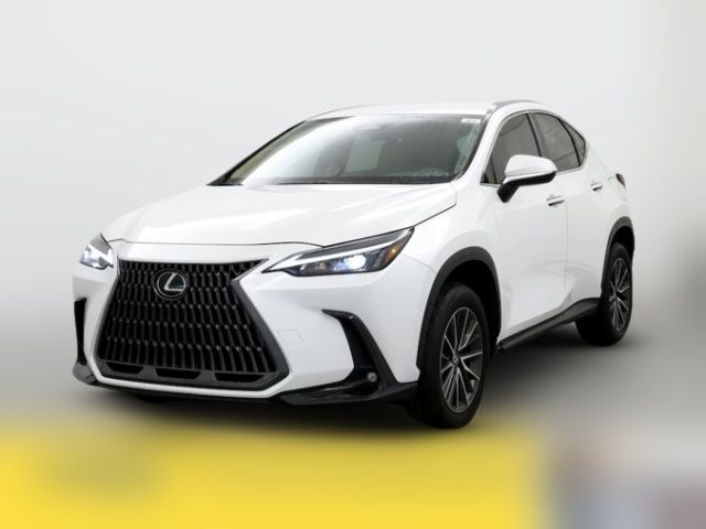 2024 Lexus NX 250